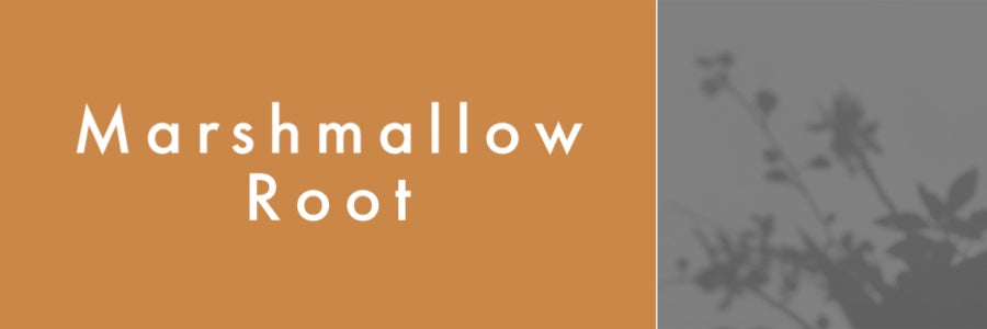 Mountain Viking Marshmallow Root Organic