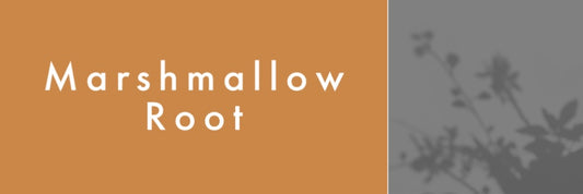 Mountain Viking Marshmallow Root Organic