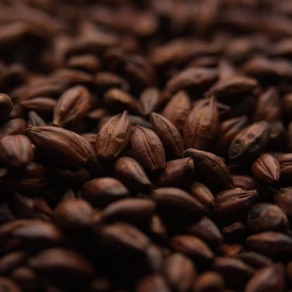 Crisp Chocolate Malt