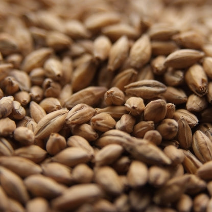 Crisp Finest Maris Otter Ale Malt