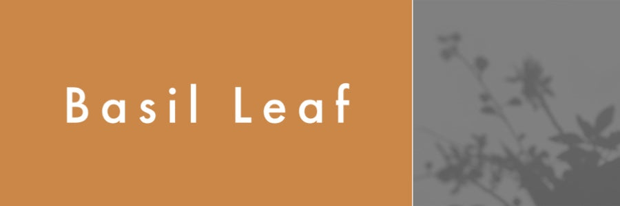 Mountain Viking Basil Leaf Organic