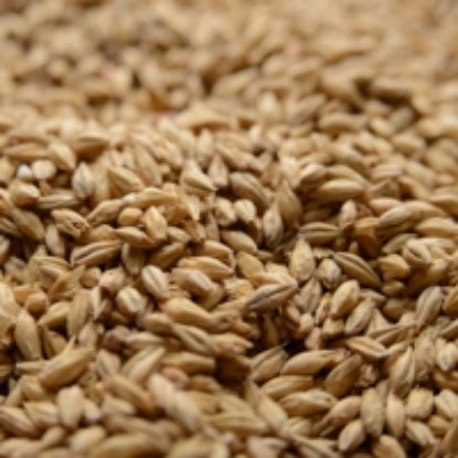 Briess Pale Ale Malt