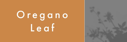 Mountain Viking Oregano Leaf Organic