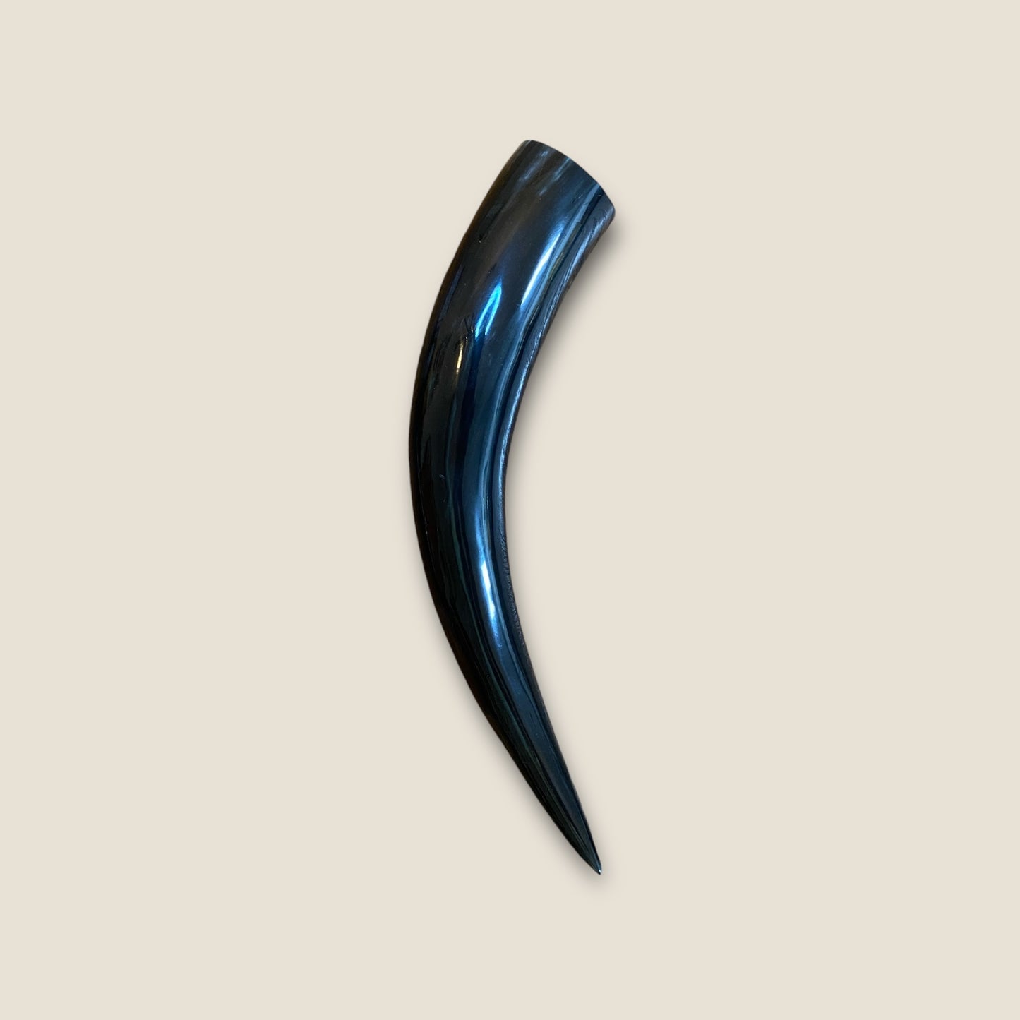 Viking Drinking Horn