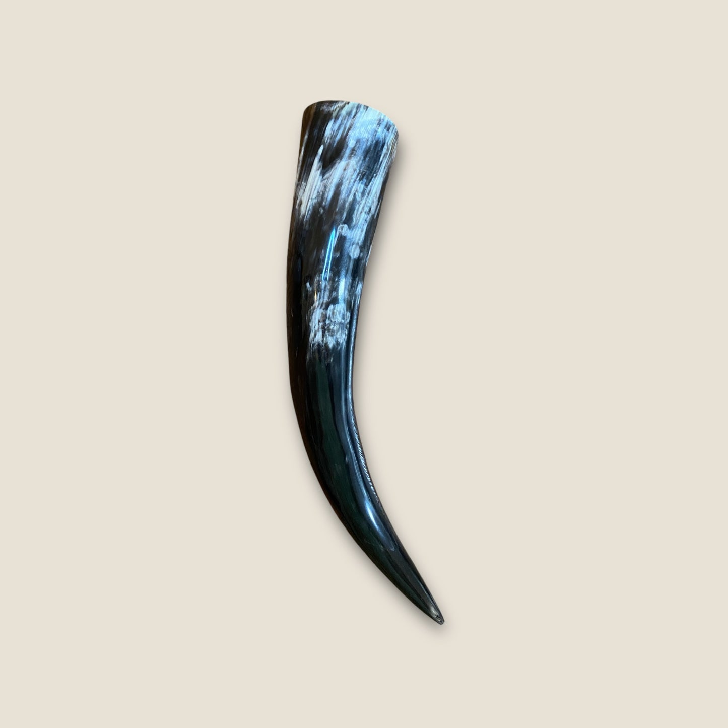 Viking Drinking Horn