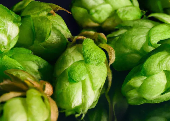 Beer Hops - ChaddyShack's Brewing Supplies