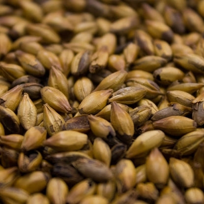 Weyermann® Special W® Malt
