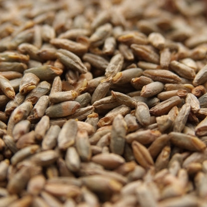 Weyermann® Pale Rye Malt