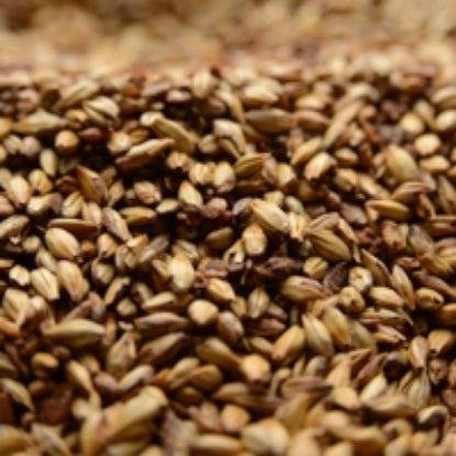 Briess Caramel 60L Malt