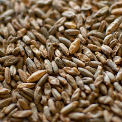 Dingemans Rye Malt