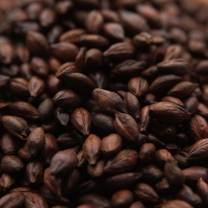 Weyermann® Roasted Barley Malt
