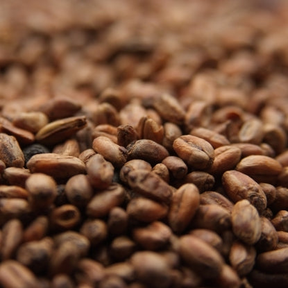 Weyermann® CARAWHEAT® Malt