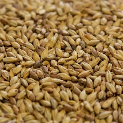 Dingemans Biscuit® Malt