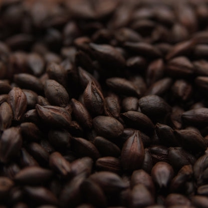 Weyermann® CARAFA® Special Type 3 (dehusked) Malt