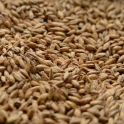 Briess Bonlander® Munich Malt
