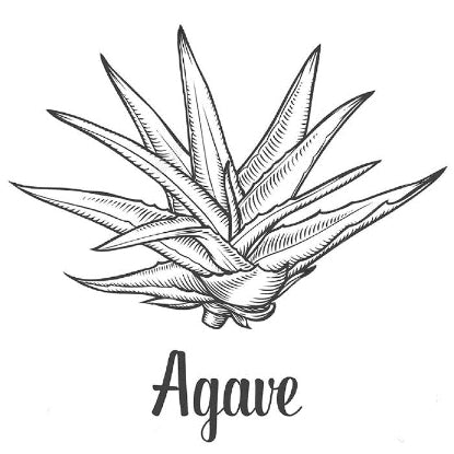 Premium Agave Syrup - 25 kg