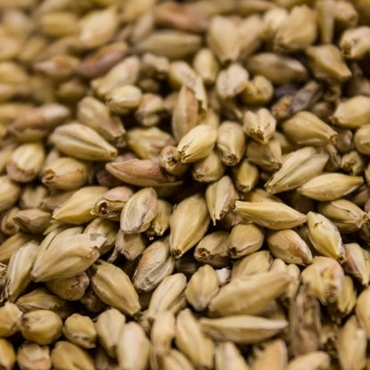 Crisp Munich Light Malt