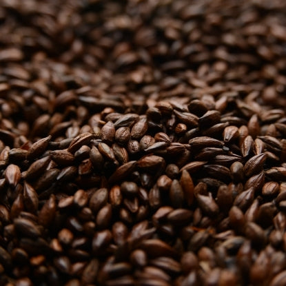 Briess Roasted Barley Malt