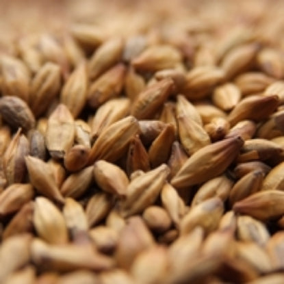 Weyermann® CARAMUNICH® Type 1 Malt