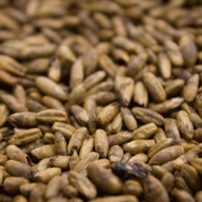Weyermann® CARARYE® Malt
