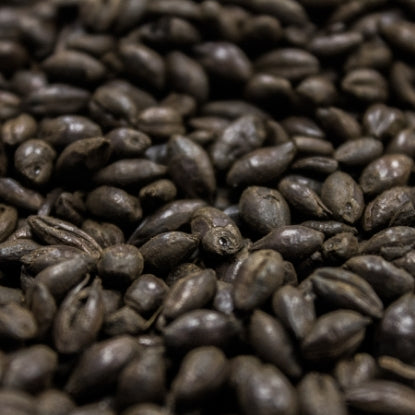 Crisp Black Malt