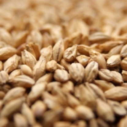 Weyermann® CARAFOAM® Malt