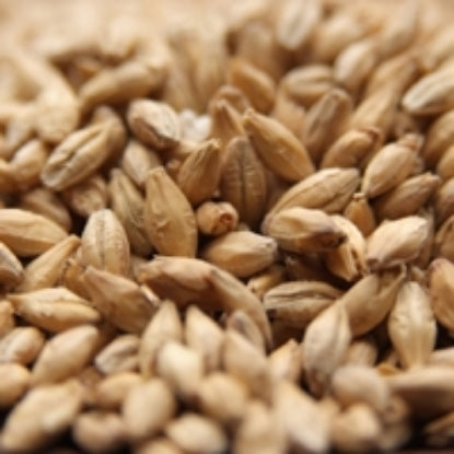 Weyermann® Pilsner Malt
