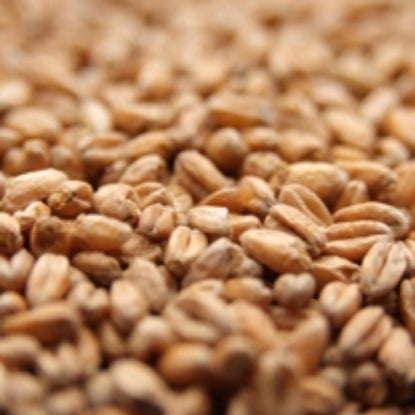 Weyermann® CARAHELL® Malt