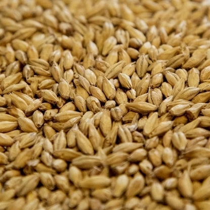 Dingemans Pilsen Malt