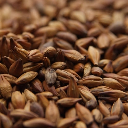 Weyermann® CARAMUNICH® Type 3 Malt