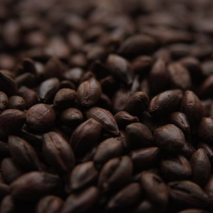 Weyermann® CARAFA® Type 3 Malt